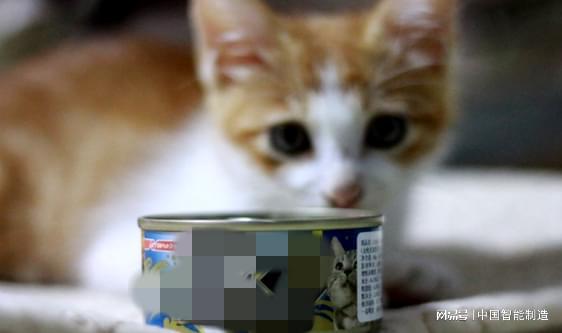 它經(jīng)濟(jì)風(fēng)起，國(guó)產(chǎn)寵物食品品牌陣營(yíng)持續(xù)壯大